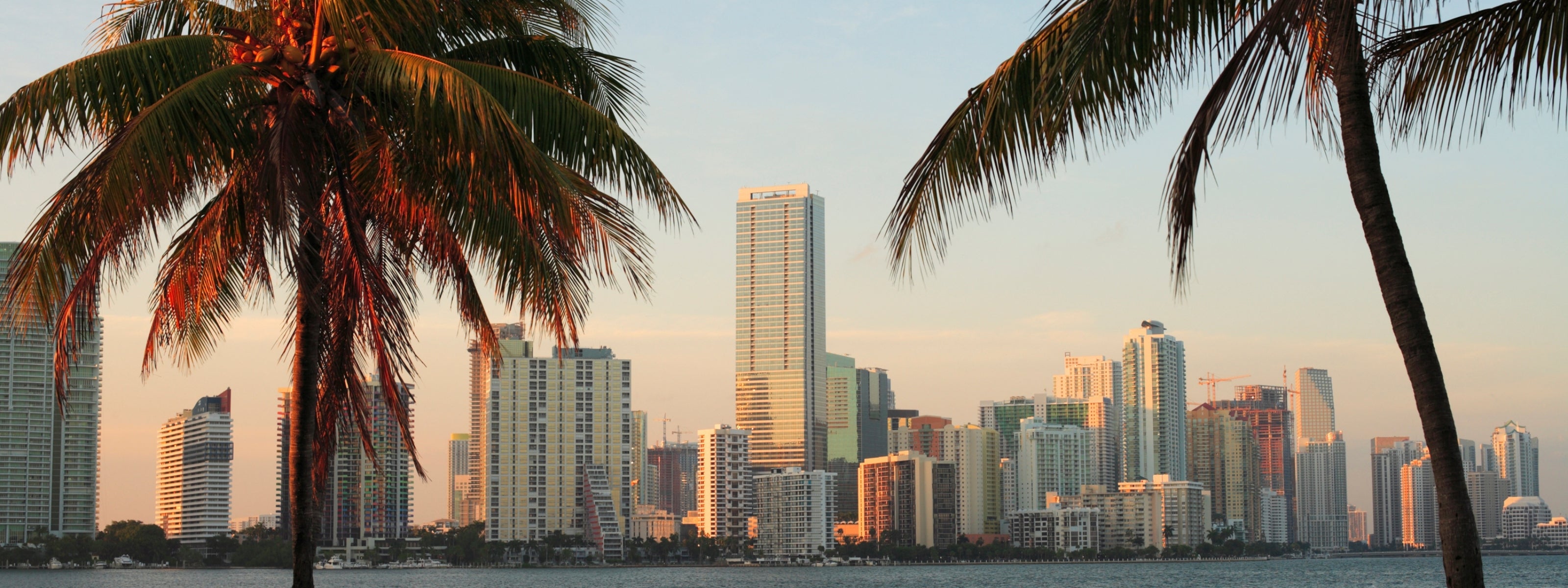 City skyline with modern buildings and palm trees at sunset.